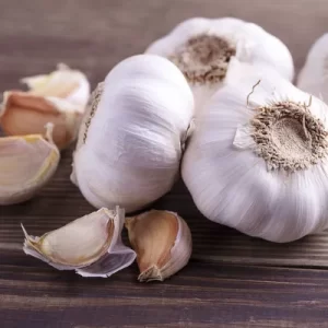 Fresh Garlic